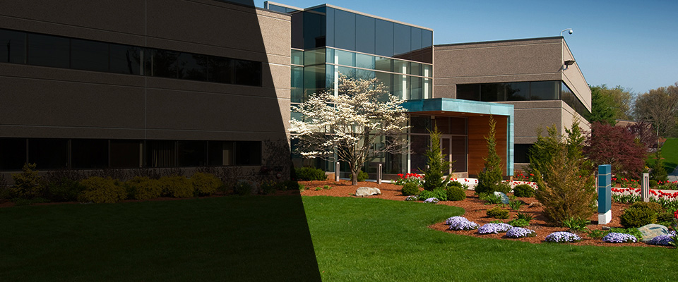 Millington Landscapers