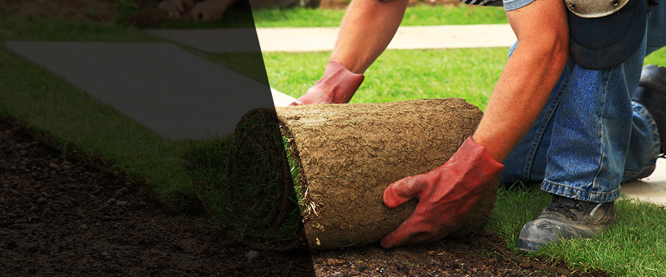 Millington Landscapers